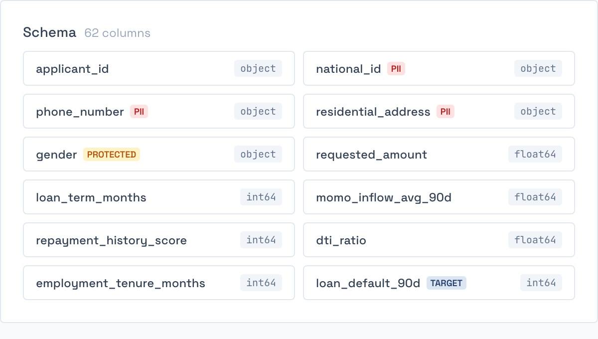 The file's schema, each column shown with its type and, where it applies, the badge marking it as a personal identifier, a protected attribute or the outcome the model is trained to predict.